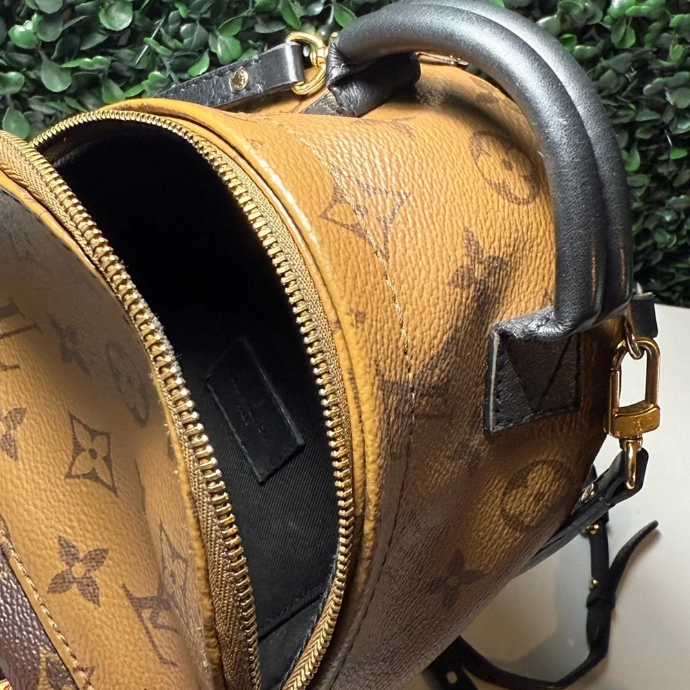 Louis Vuitton LV reverse Monogram Palm Springs Mini - Picture 13 of 16